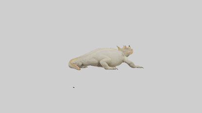 Horned Lizard basking model VR / AR / low-poly