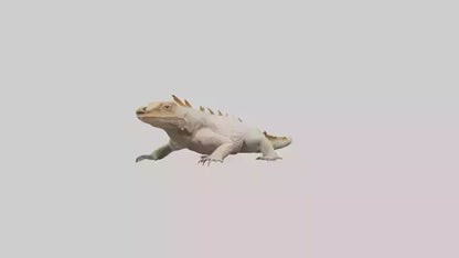 Horned Lizard resting model VR / AR / low-poly