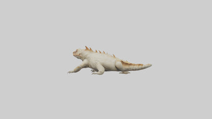 Horned Lizard resting model VR / AR / low-poly