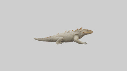 Horned Lizard resting model VR / AR / low-poly
