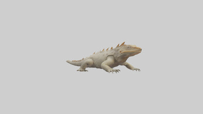 Horned Lizard resting model VR / AR / low-poly