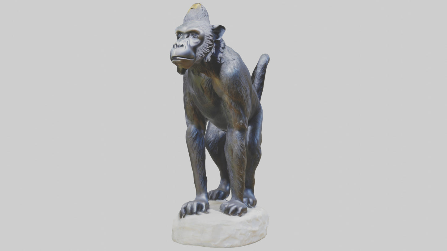 3D model Howler Monkey statue model VR / AR / low-poly