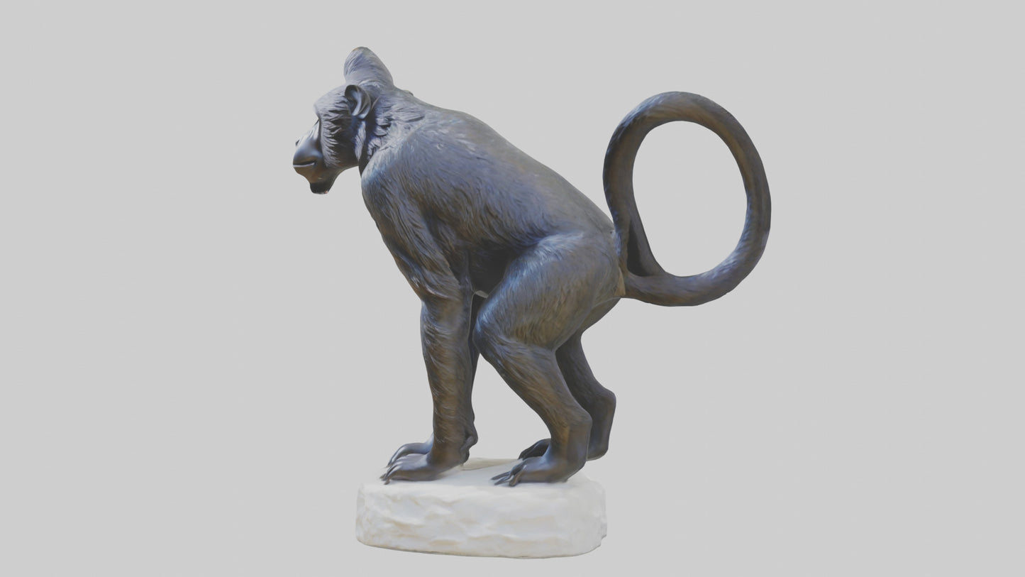 3D model Howler Monkey statue model VR / AR / low-poly