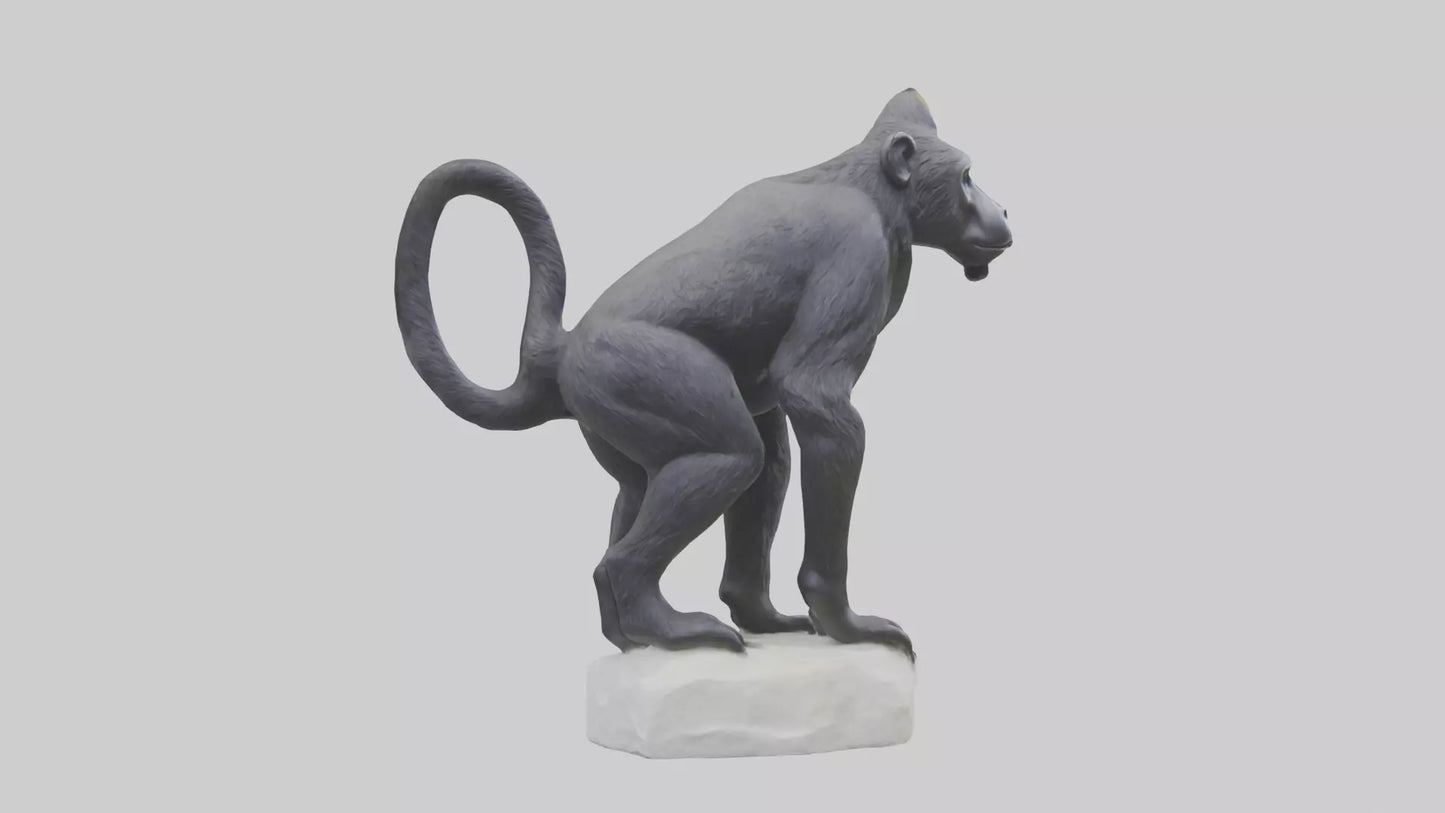 3D model Howler Monkey statue model VR / AR / low-poly