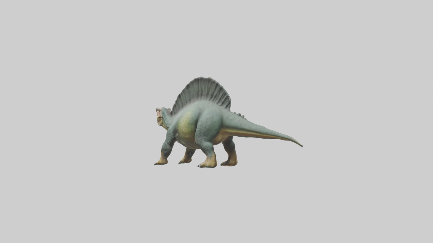 3D model Huayangosaurus model VR / AR / low-poly