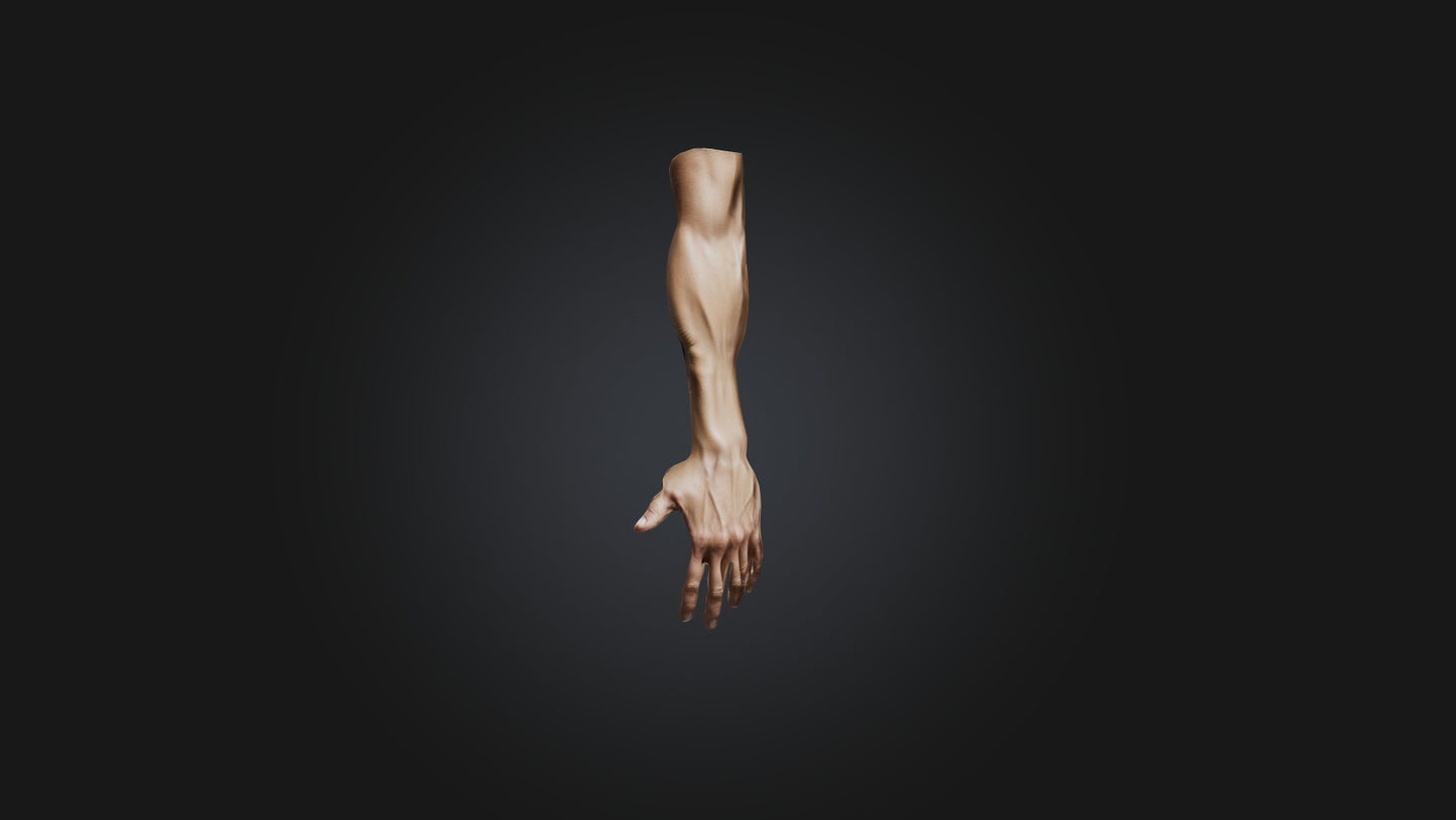 3D model human arm  VR / AR / low-poly