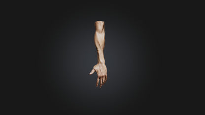 3D model human arm  VR / AR / low-poly
