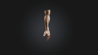 3D model human arm  VR / AR / low-poly