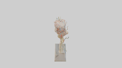 Human Brachial Plexus Model VR / AR / low-poly