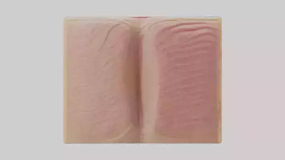 3D model Human Dermis Model VR / AR / low-poly