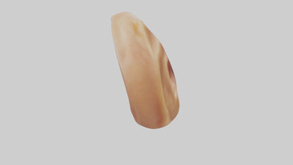 3D model Human Ear Model VR / AR / low-poly