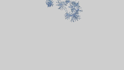 Human Glial Cells Model VR / AR / low-poly