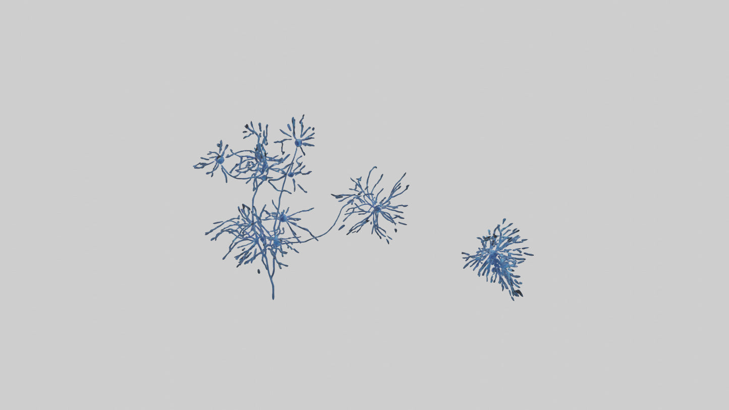 Human Glial Cells Model VR / AR / low-poly