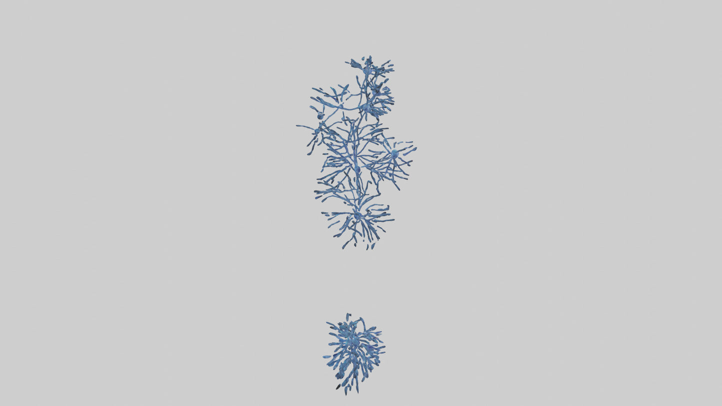 Human Glial Cells Model VR / AR / low-poly