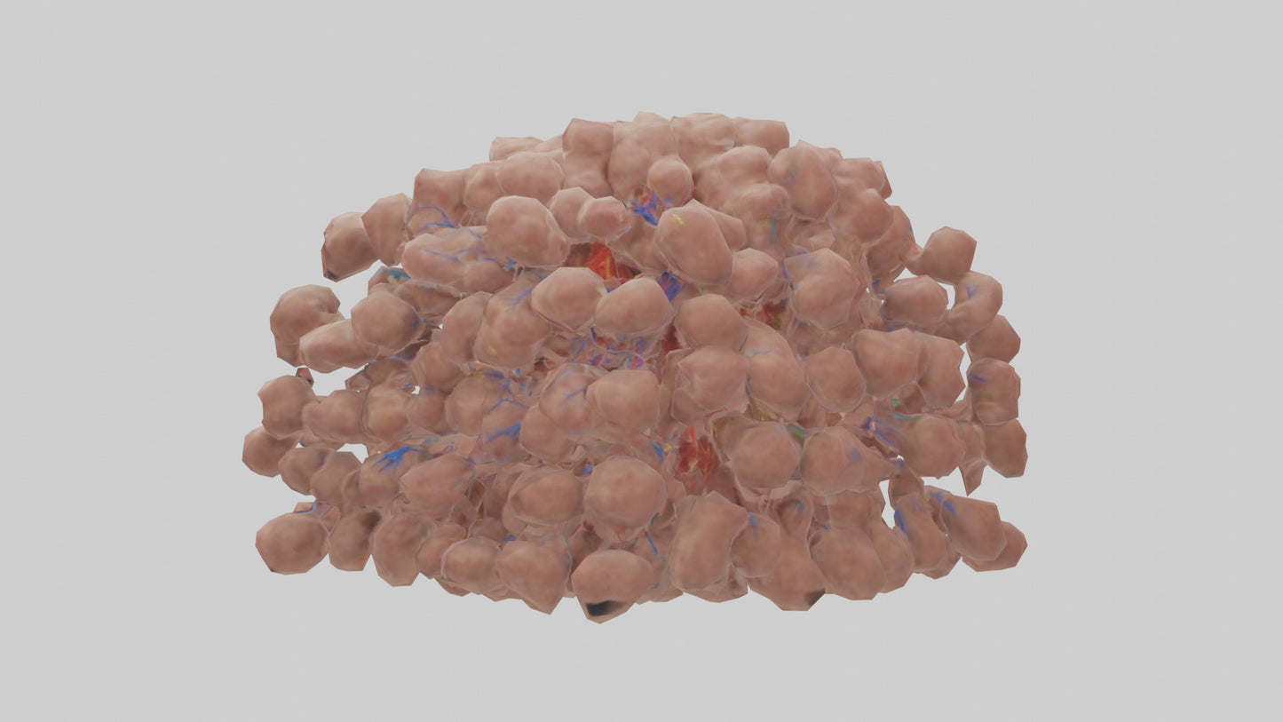 3D model Human Lymph Nodes Model VR / AR / low-poly