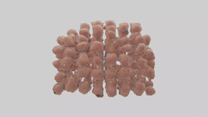 3D model Human Lymph Nodes Model VR / AR / low-poly