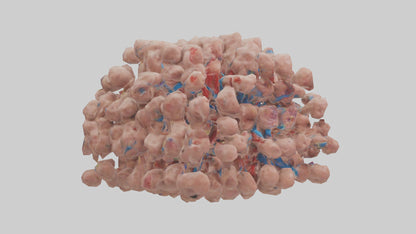 3D model Human Lymph Nodes Model VR / AR / low-poly