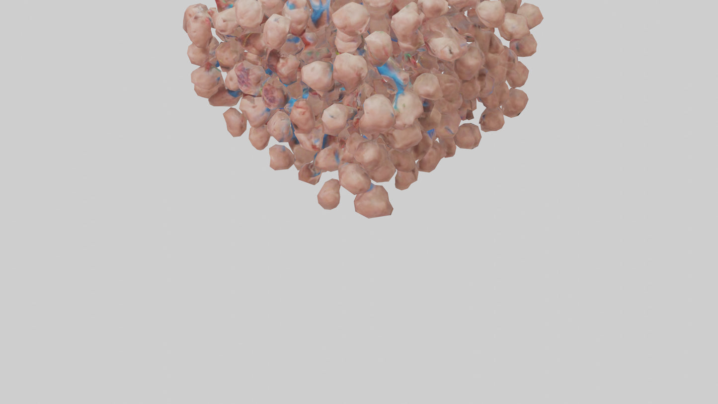 3D model Human Lymph Nodes Model VR / AR / low-poly