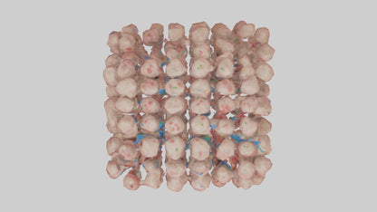 3D model Human Lymph Nodes Model VR / AR / low-poly