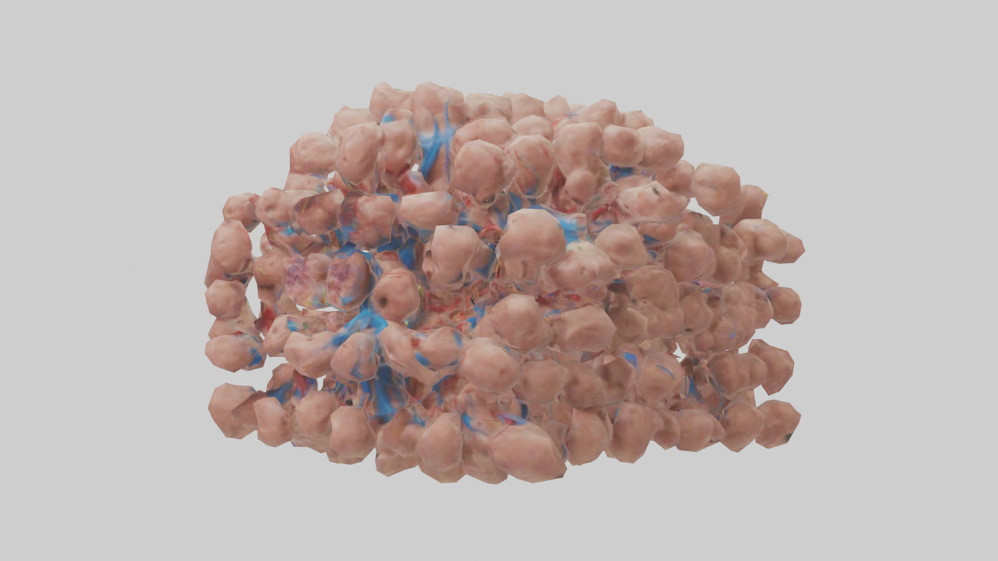3D model Human Lymph Nodes Model VR / AR / low-poly