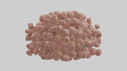 3D model Human Lymph Nodes Model VR / AR / low-poly