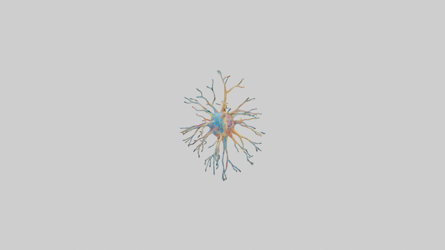 3D model Human Nerve Cells Model VR / AR / low-poly