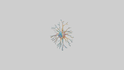 3D model Human Nerve Cells Model VR / AR / low-poly