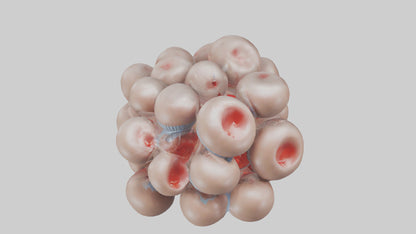 3D model Human Platelets Model VR / AR / low-poly