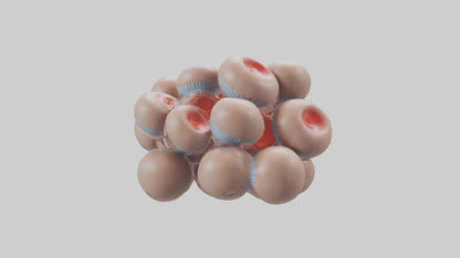 3D model Human Platelets Model VR / AR / low-poly