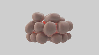 3D model Human Platelets Model VR / AR / low-poly