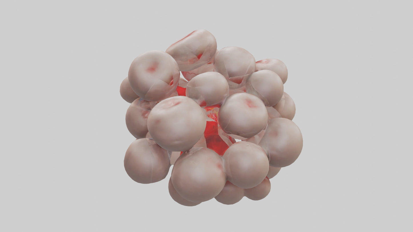 3D model Human Platelets Model VR / AR / low-poly