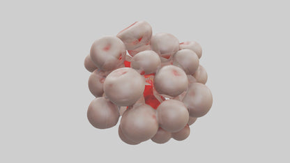 3D model Human Platelets Model VR / AR / low-poly