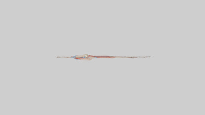 3D model Human Popliteal Artery Model VR / AR / low-poly