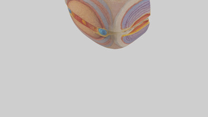 3D model Human Retinal Layers Model VR / AR / low-poly