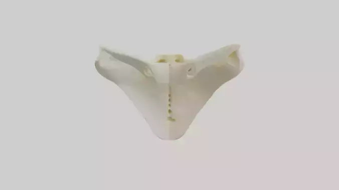 Human Scapula Model VR / AR / low-poly