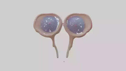 3D model Human Seminal Vesicles Model VR / AR / low-poly