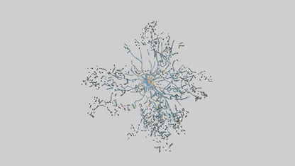 Human Sensory Neurons Model VR / AR / low-poly