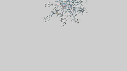 Human Sensory Neurons Model VR / AR / low-poly
