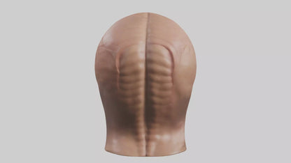 3D model Human Skin Model VR / AR / low-poly