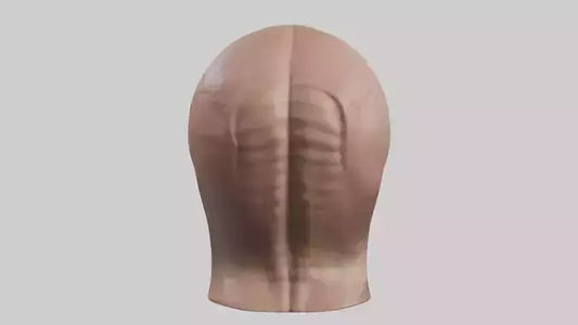 3D model Human Skin Model VR / AR / low-poly