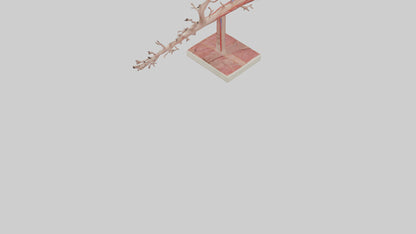 3D model Human Subclavian Artery Model VR / AR / low-poly