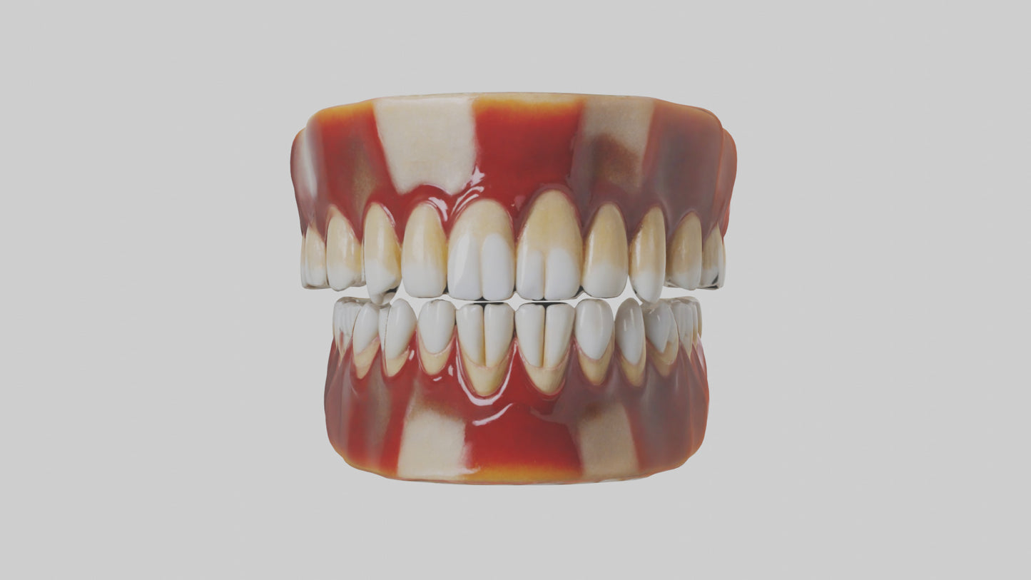 3D model Human Teeth Enamel Model VR / AR / low-poly