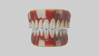3D model Human Teeth Enamel Model VR / AR / low-poly