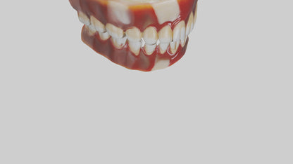 3D model Human Teeth Enamel Model VR / AR / low-poly