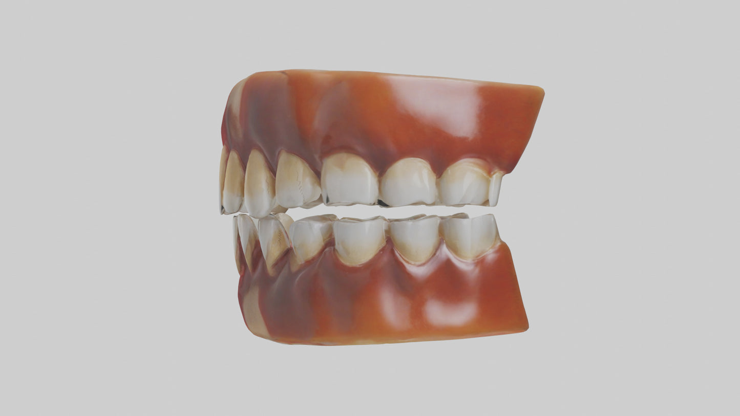 3D model Human Teeth Enamel Model VR / AR / low-poly