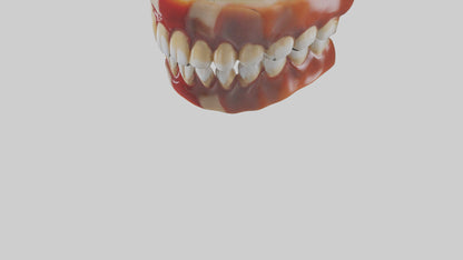 3D model Human Teeth Enamel Model VR / AR / low-poly