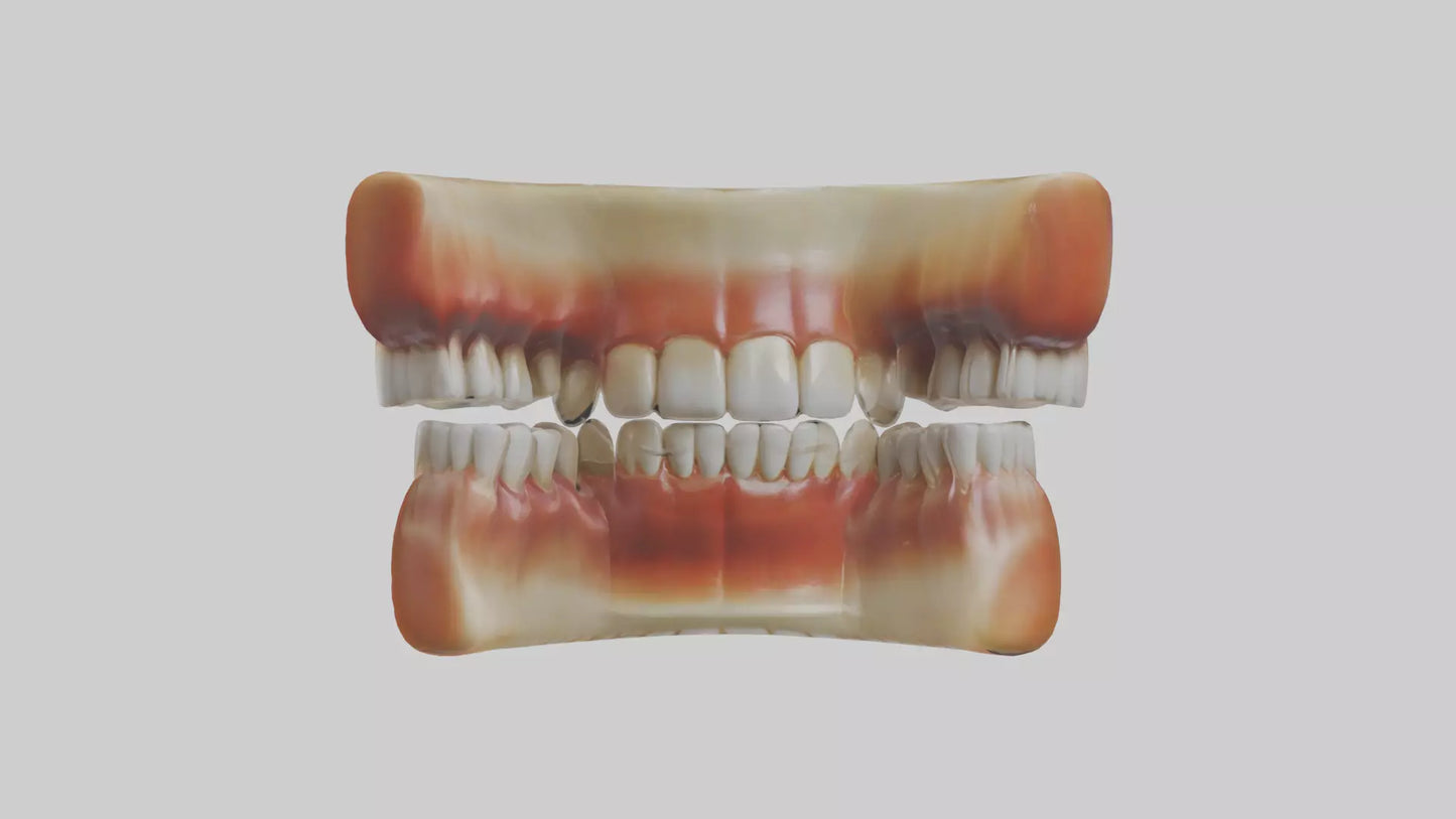 3D model Human Teeth Enamel Model VR / AR / low-poly