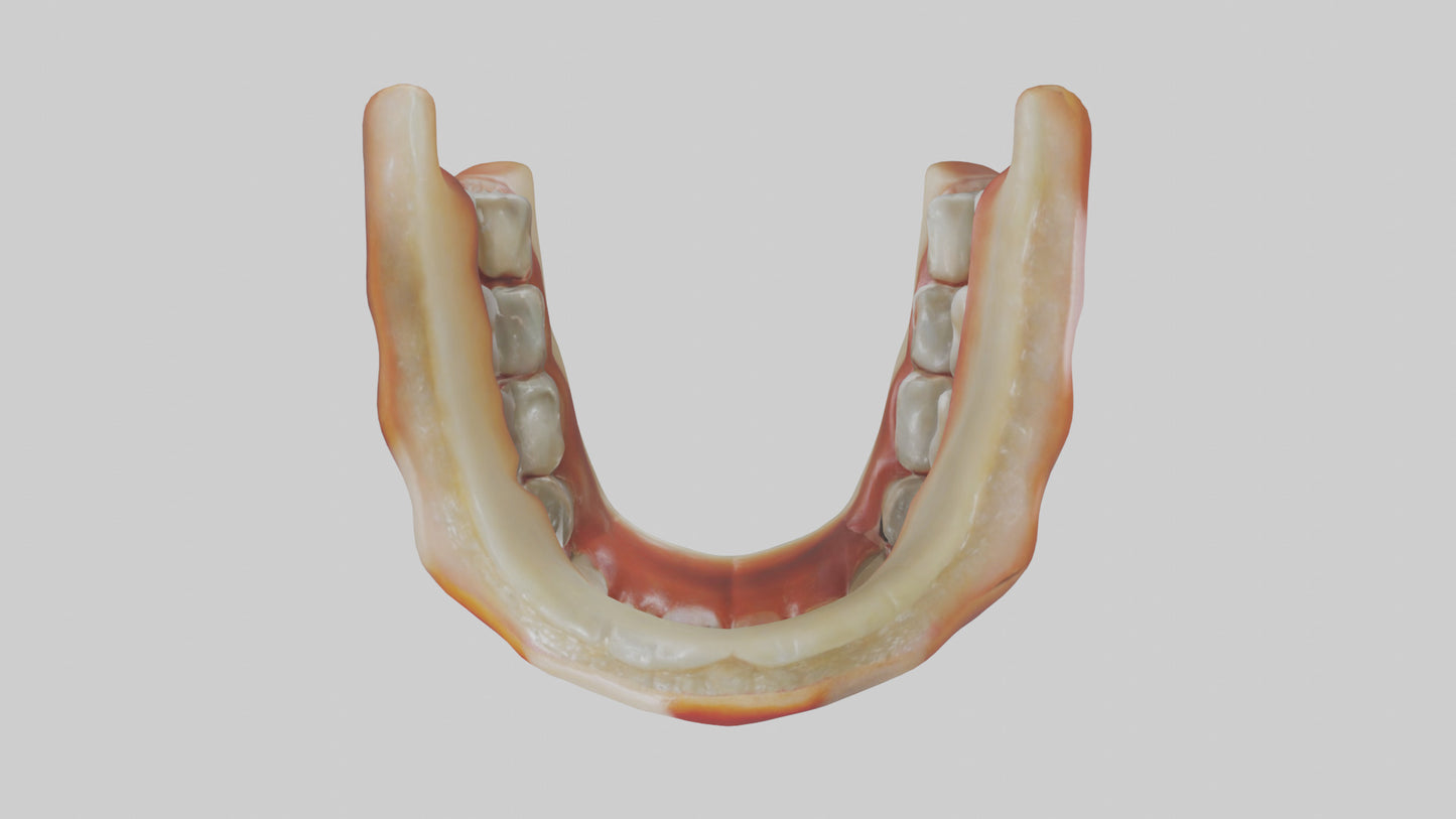 3D model Human Teeth Enamel Model VR / AR / low-poly