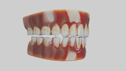 3D model Human Teeth Enamel Model VR / AR / low-poly