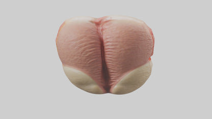 3D model Human Testes Model VR / AR / low-poly